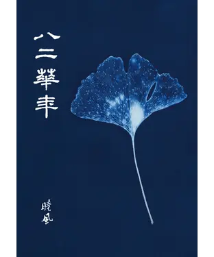 書封 八二華年